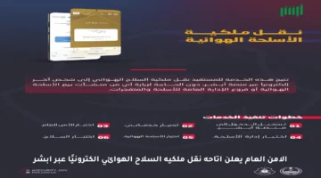 الأمن العام يعلن إتاحة نقل ملكية السلاح الهوائي إلكترونيًا عبر أبشر